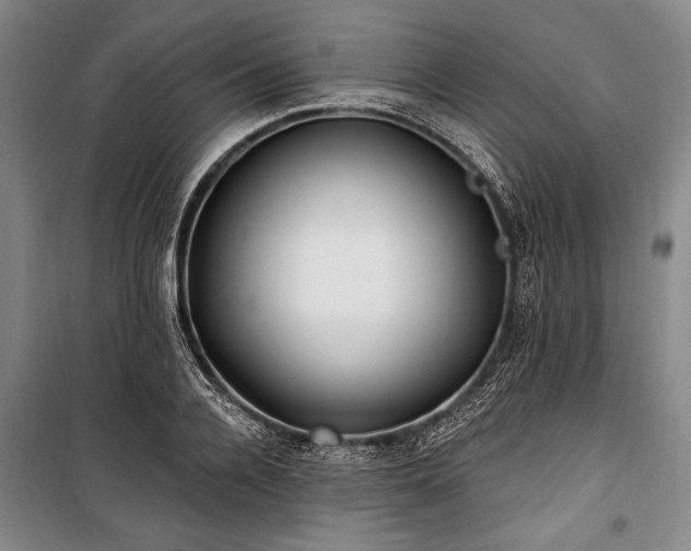 X0000101180936200806271248
