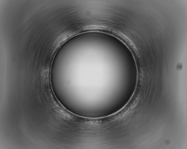 X0000101180937200806271248