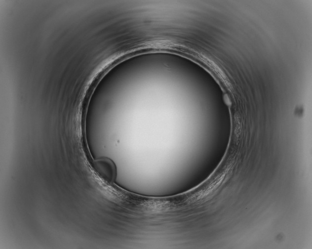 X0000101180939200806271248