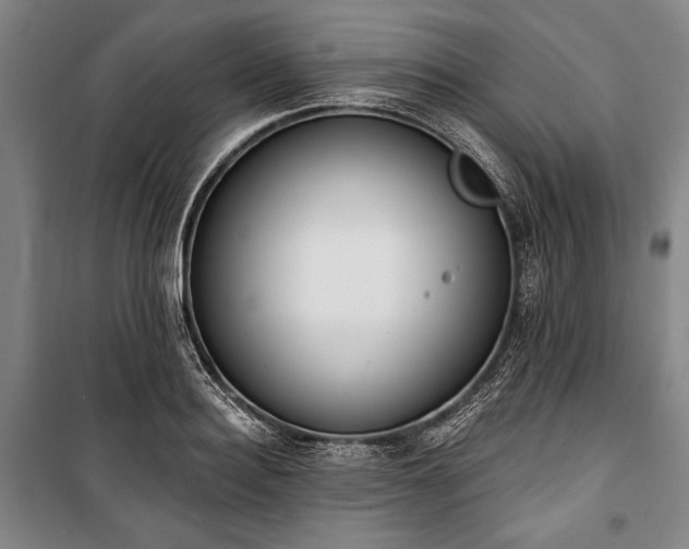 X0000101180940200806271248