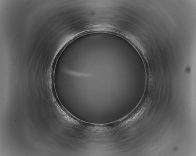 X0000101180941200806271248
