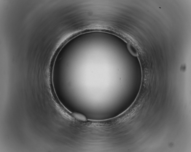 X0000101180942200806271248
