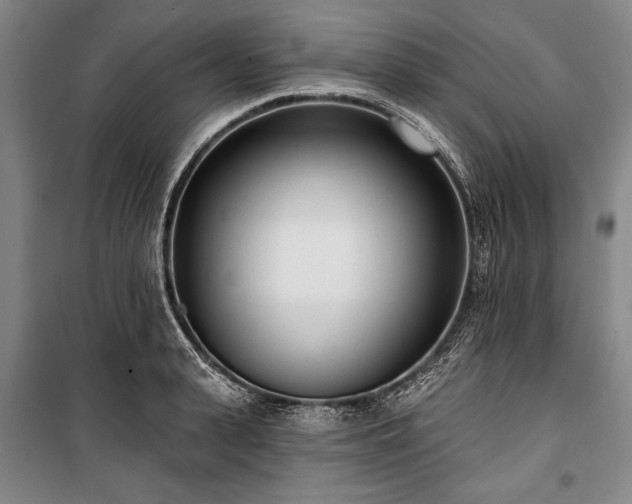 X0000101180943200806271248