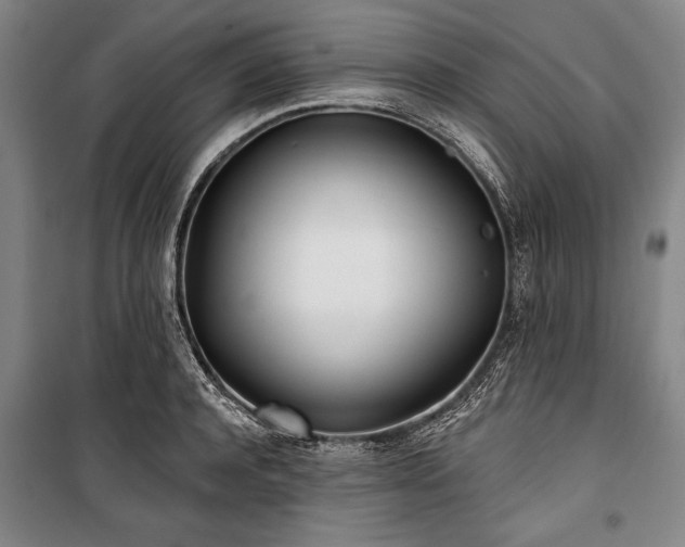 X0000101180944200806271248