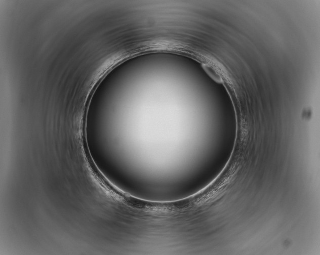 X0000101180946200806271248