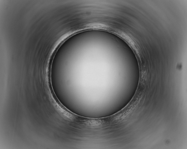 X0000101180947200806271248