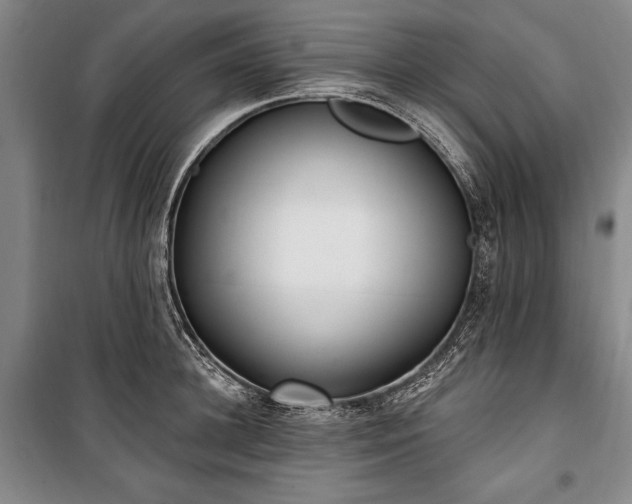 X0000101180948200806271248