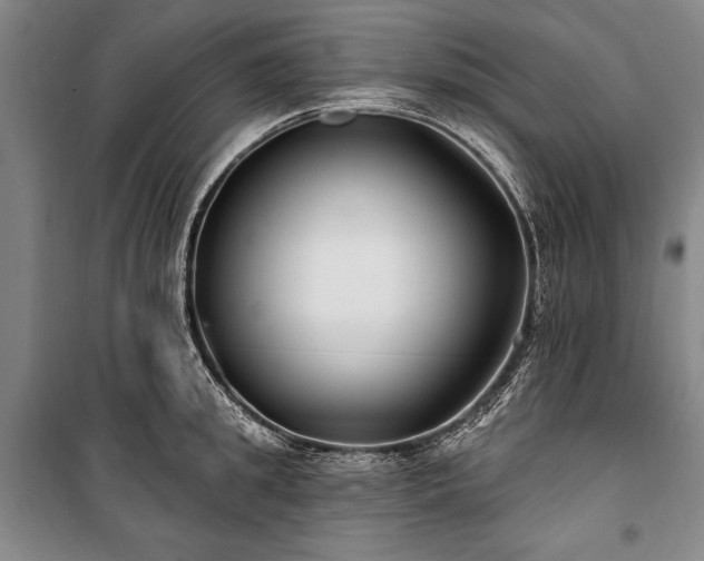 X0000101180949200806271248