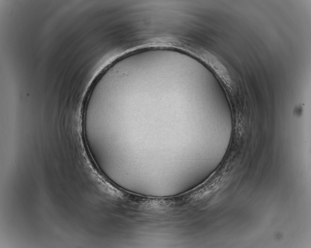 X0000101180950200806271248