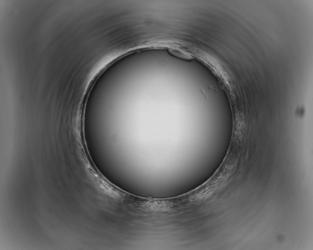 X0000101180952200806271249