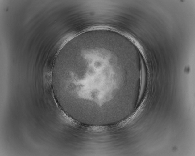 X0000101180953200806271249