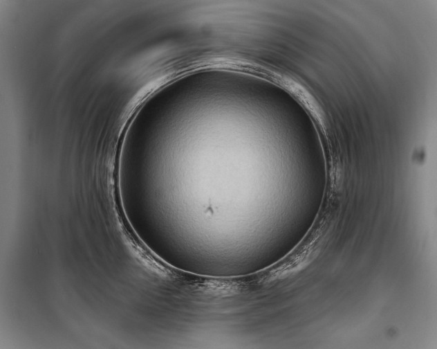 X0000101180954200806271249