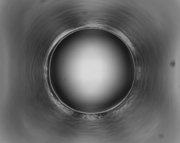 X0000101180955200806271249