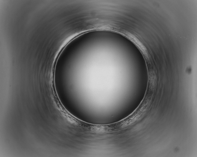 X0000101180956200806271249