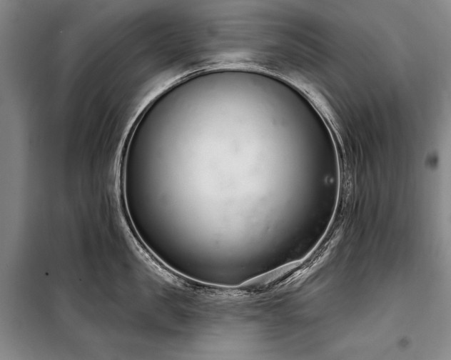 X0000101180957200806271249