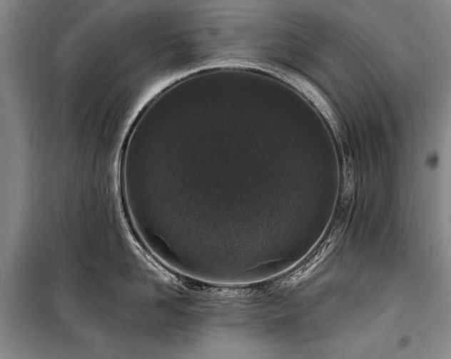 X0000101180958200806271249