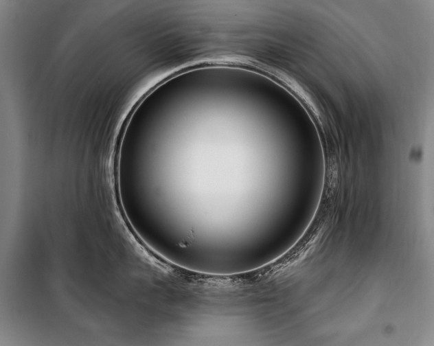 X0000101180959200806271249