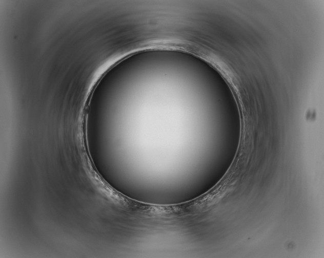 X0000101180960200806271249