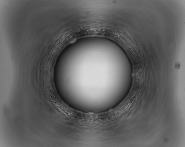 X0000101180961200806271248
