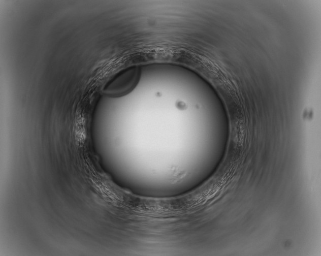 X0000101180962200806271248
