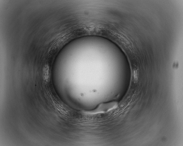 X0000101180963200806271248