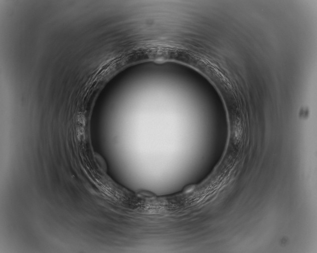 X0000101180964200806271248