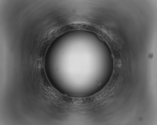 X0000101180965200806271248