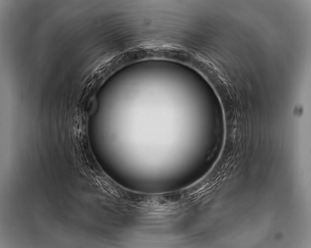 X0000101180966200806271248