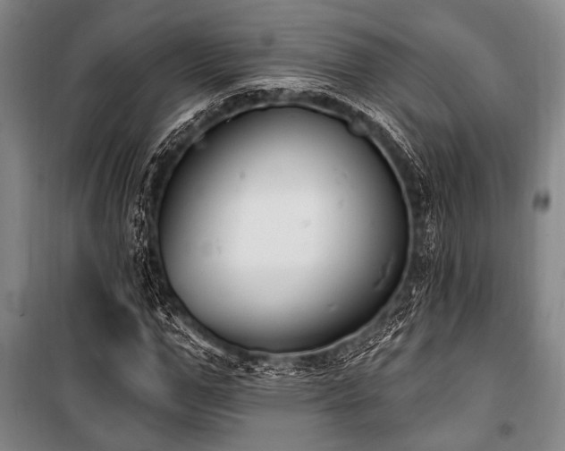X0000101180967200806271248