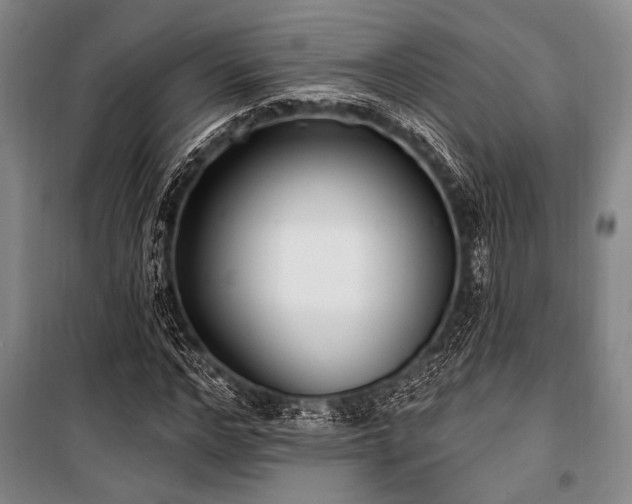 X0000101180968200806271248