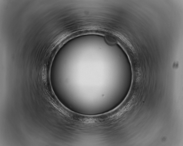 X0000101180969200806271248