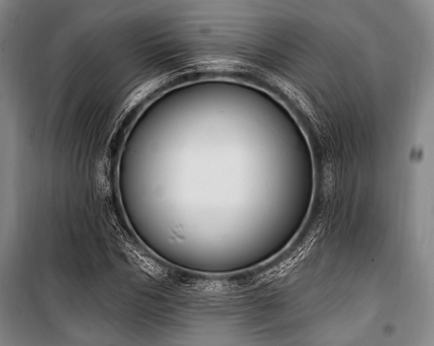 X0000101180970200806271248