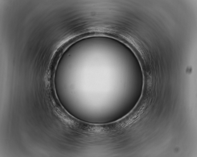 X0000101180971200806271248