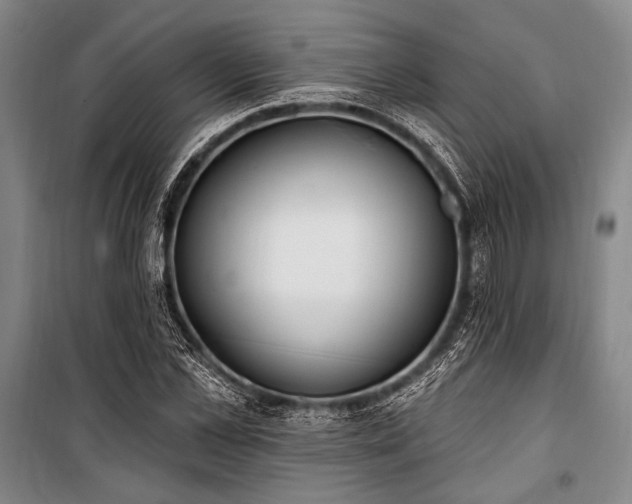 X0000101180973200806271248