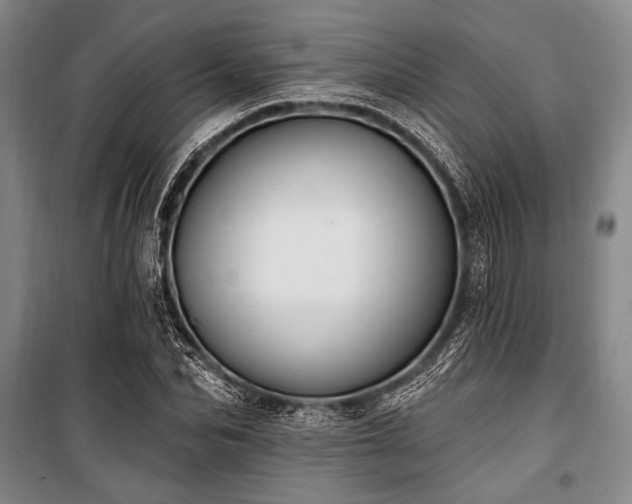 X0000101180974200806271248
