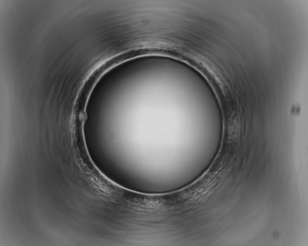 X0000101180975200806271248