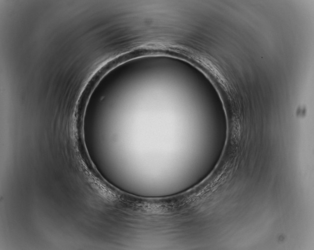 X0000101180976200806271248