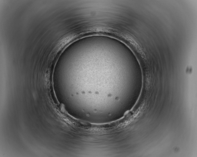 X0000101180977200806271248