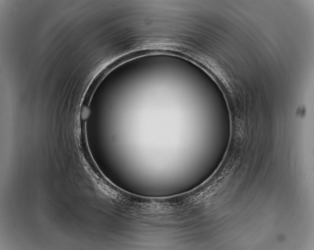 X0000101180980200806271248