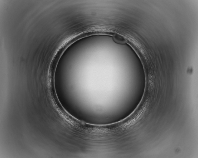 X0000101180981200806271247