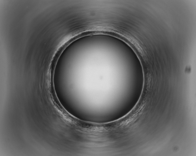 X0000101180982200806271247