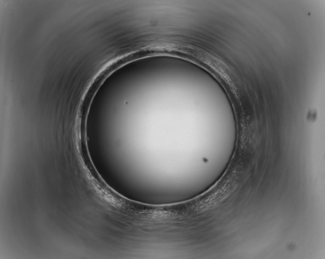 X0000101180984200806271247