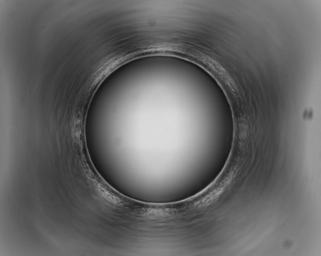 X0000101180985200806271247