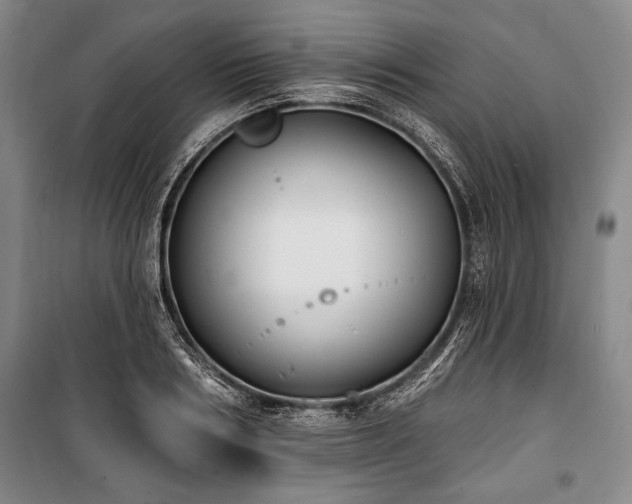 X0000101180986200806271247