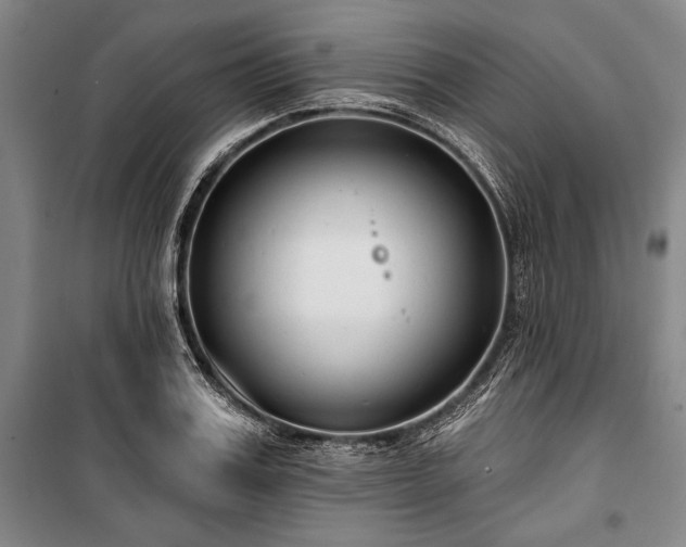 X0000101180987200806271247