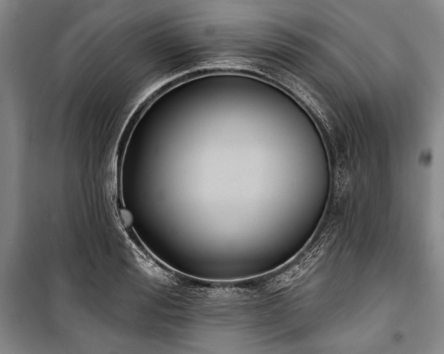 X0000101180988200806271247