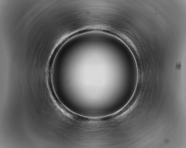 X0000101180989200806271247