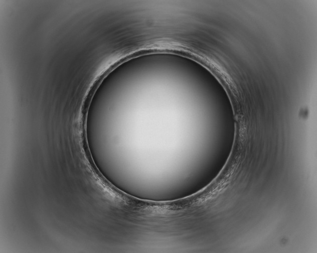 X0000101180990200806271247