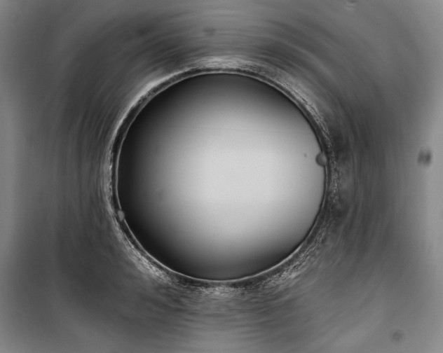 X0000101180992200806271247