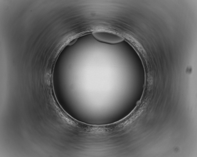 X0000101180993200806271247